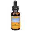 Herb Pharm - Dandelion Glycerite - 1 Each-1 Fz